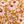 Floral Mustard