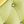 Avocado Green