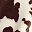 Chocolate Brown