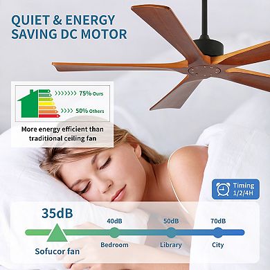 ELEMENT ACE 52-Inch Indoor-Outdoor Ceiling Fan with Light and Remote Control