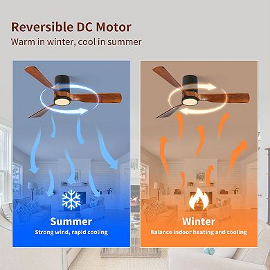 ELEMENT ACE 52 Inch Indoor Outdoor Flush Mount Ceiling Fan with Wood Blades and Remote Control