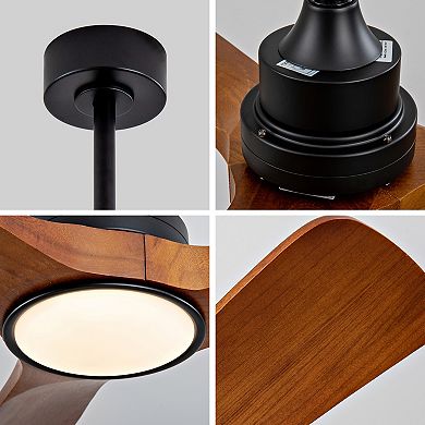ELEMENT ACE Modern Wood Ceiling Fan with Remote Control and Reversible DC Motor