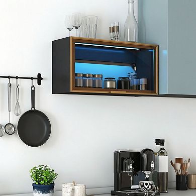 ELEMENT ACE Large Capacity Wall Mounted Spice Rack Storage Cabinet with Up Flip Door