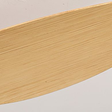 ELEMENT ACE Ultra Slim Flush Mount Ceiling Fan with Remote Control and Light