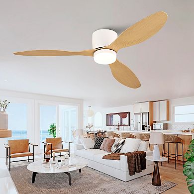 ELEMENT ACE Ultra Slim Flush Mount Ceiling Fan with Remote Control and Light