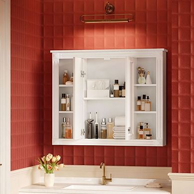 ELEMENT ACE Wall Mounted Adjustable Shelf Bathroom Medicine Storage Cabinet