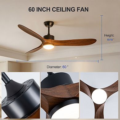 ELEMENT ACE 60-Inch Reversible DC Motor Ceiling Fan with Remote Control and Natural Wood Blades