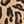 Tan Alice Leopard