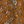 Brown Floral