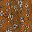 Brown Floral