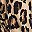 Tan Alice Leopard