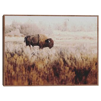 Masterpiece Lone Ranger Framed Canvas Art 30" x 40" Wildlife Wall Art