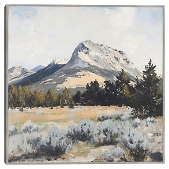 Masterpiece Desert Mountains 35" x 35" Framed Canvas Art