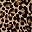Brown Leopard