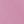 Rose Purple