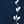 Dark Navy White Flora