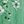 Green Flower