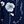 Navy Flower