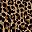 Black Brown Gray