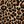 Leopard Brown