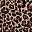 Leopard Brown