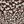 Brown Floral