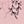 Lightpink Black Print