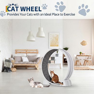 ANIXOL Digital Display ABS Quiet Cat Exercise Wheel