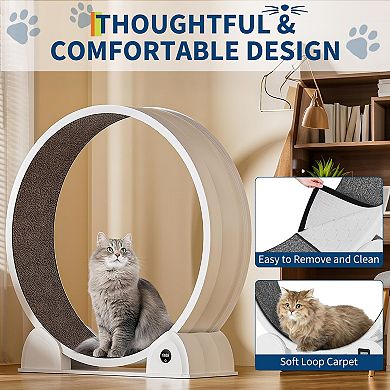ANIXOL Digital Display ABS Quiet Cat Exercise Wheel