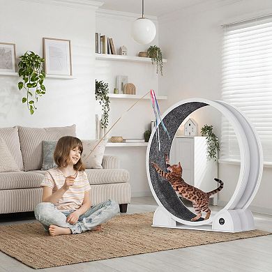 ANIXOL Digital Display ABS Quiet Cat Exercise Wheel