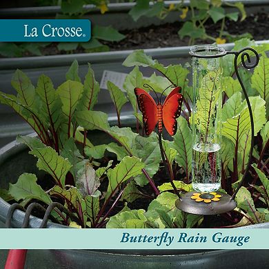 La Crosse Technology 5-Inch Capacity Butterfly Rain Gauge
