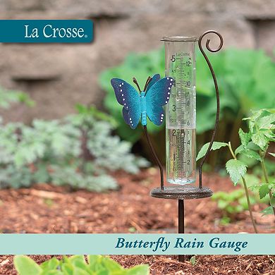 La Crosse Technology 5-Inch Capacity Glass Butterfly Rain Gauge with Ground Rod