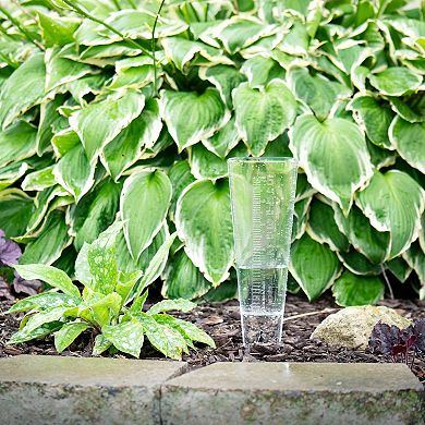 La Crosse Technology 5-inch Capacity Clear Plastic Rain Gauge