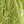 Avocado Green