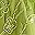 Avocado Green