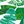 Green Leaf