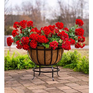 Evergreen Footed Metal Basket Planter