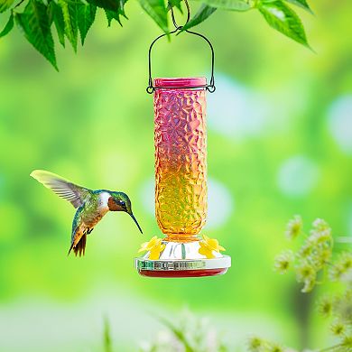 Evergreen Enterprises Textured Iridescent Glass Hummingbird Feeder Outdoor Decor