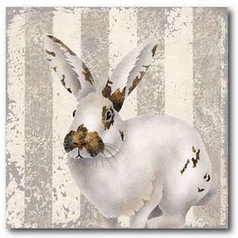 COURTSIDE MARKET Calico Bunny Canvas Wall Art