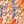 Peach Abstract Floral