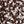 Brown White Floral