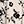 Cream Black Floral