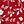 Red White Floral