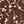 White Brown Leaf Print