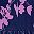 Black Purple Printed