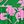 Green Pink Floral
