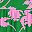 Green Pink Floral