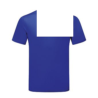 TriDri Mens Ion-Charge Panelled Polo Shirt