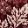 Foliage Floral