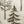Winter Trees